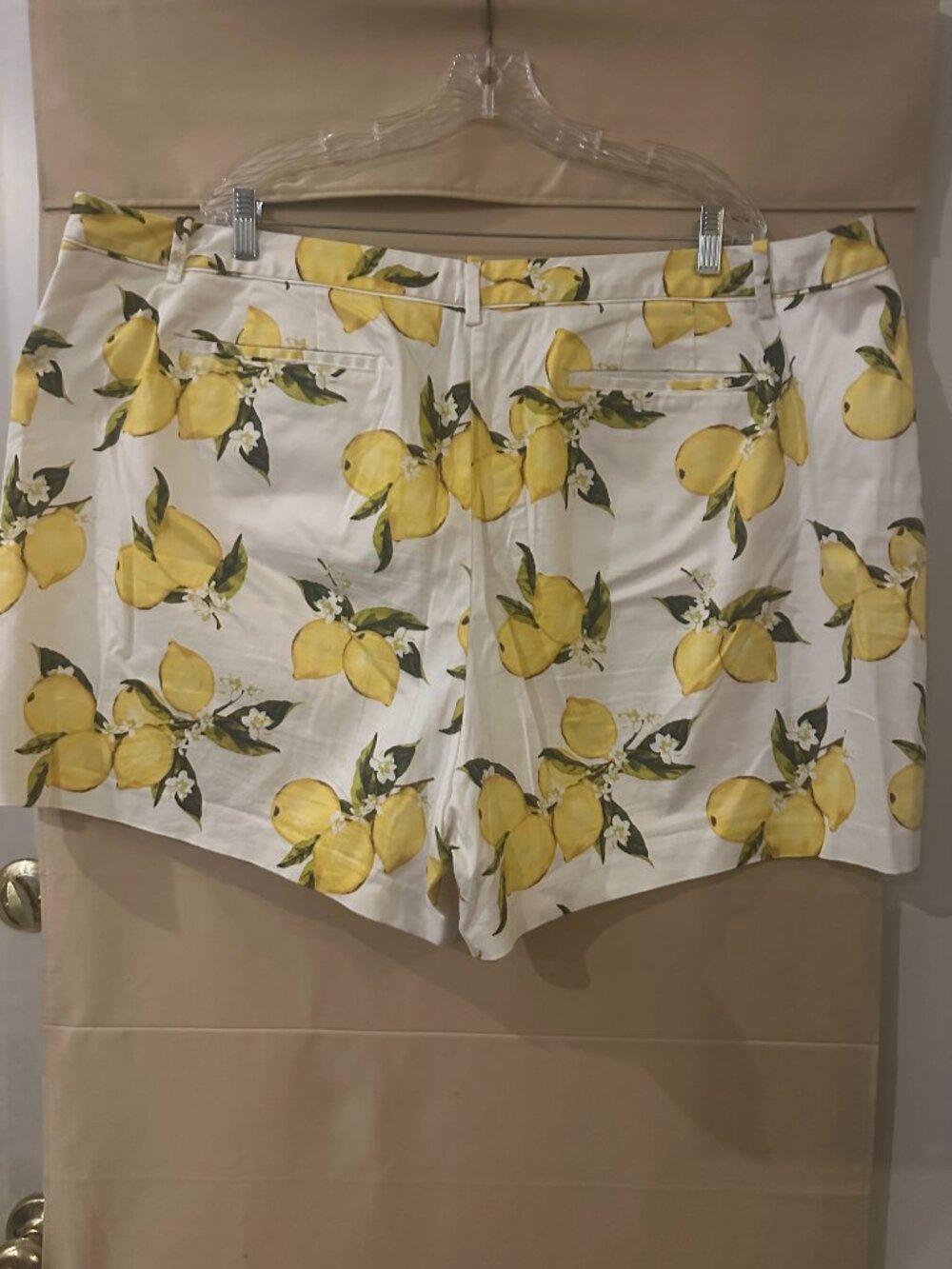 Lemon Shorts - Picture 3 of 3